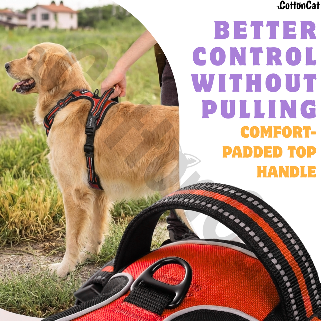 Dog Cat No Pull Harness With Reflective Leash Red