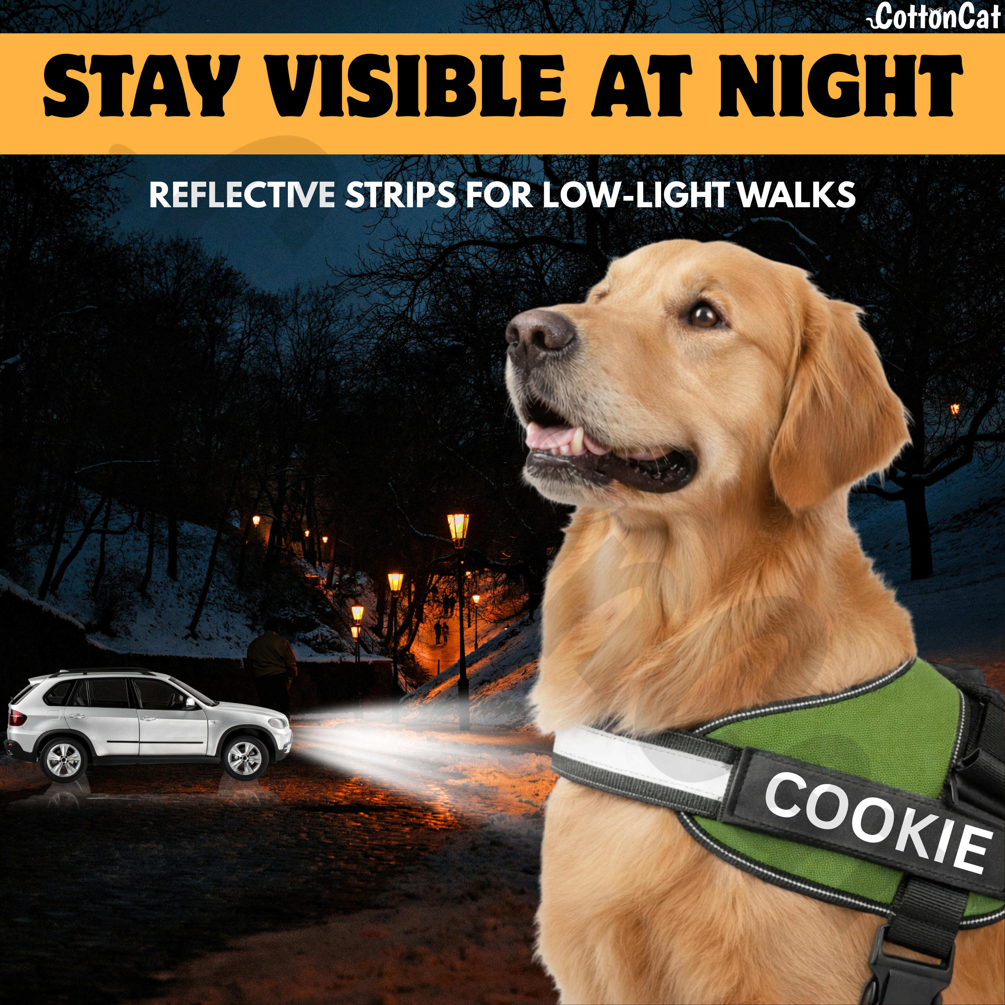 Personalized Dog Harness with Name & Phone Number Green