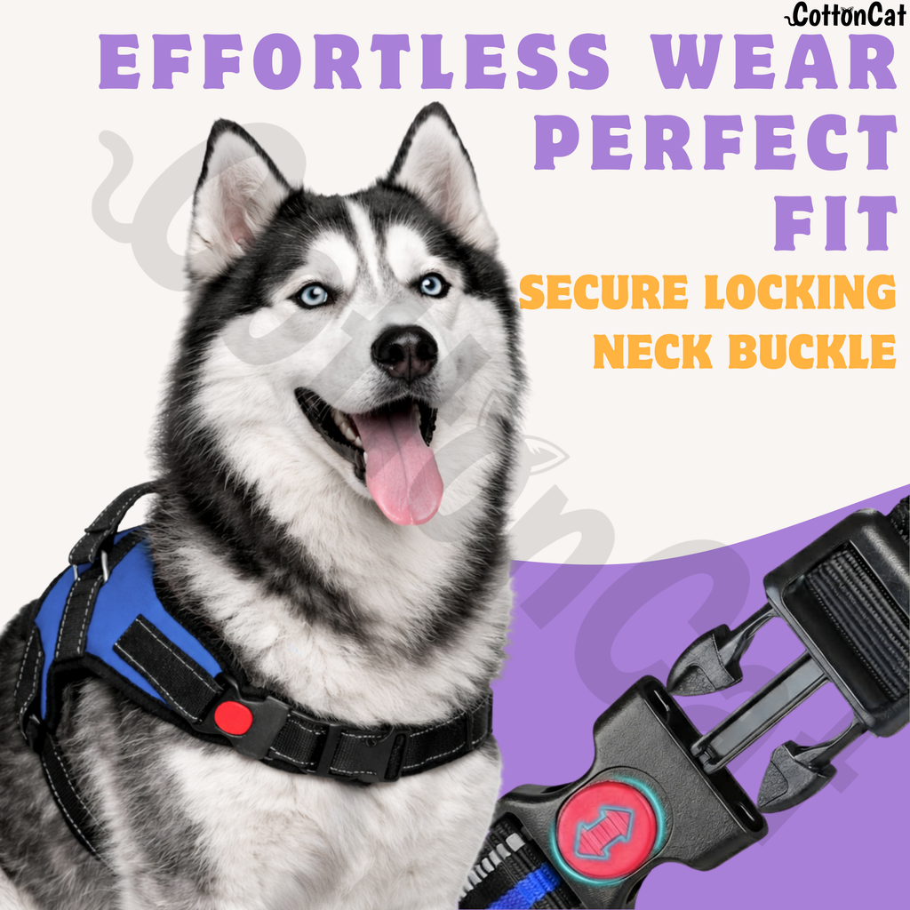 Cat Dog Reflective Harness Blue