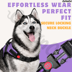 Cat Dog Reflective Harness Purple