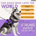 Personalized Dog Harness with Name & Phone Number Purple