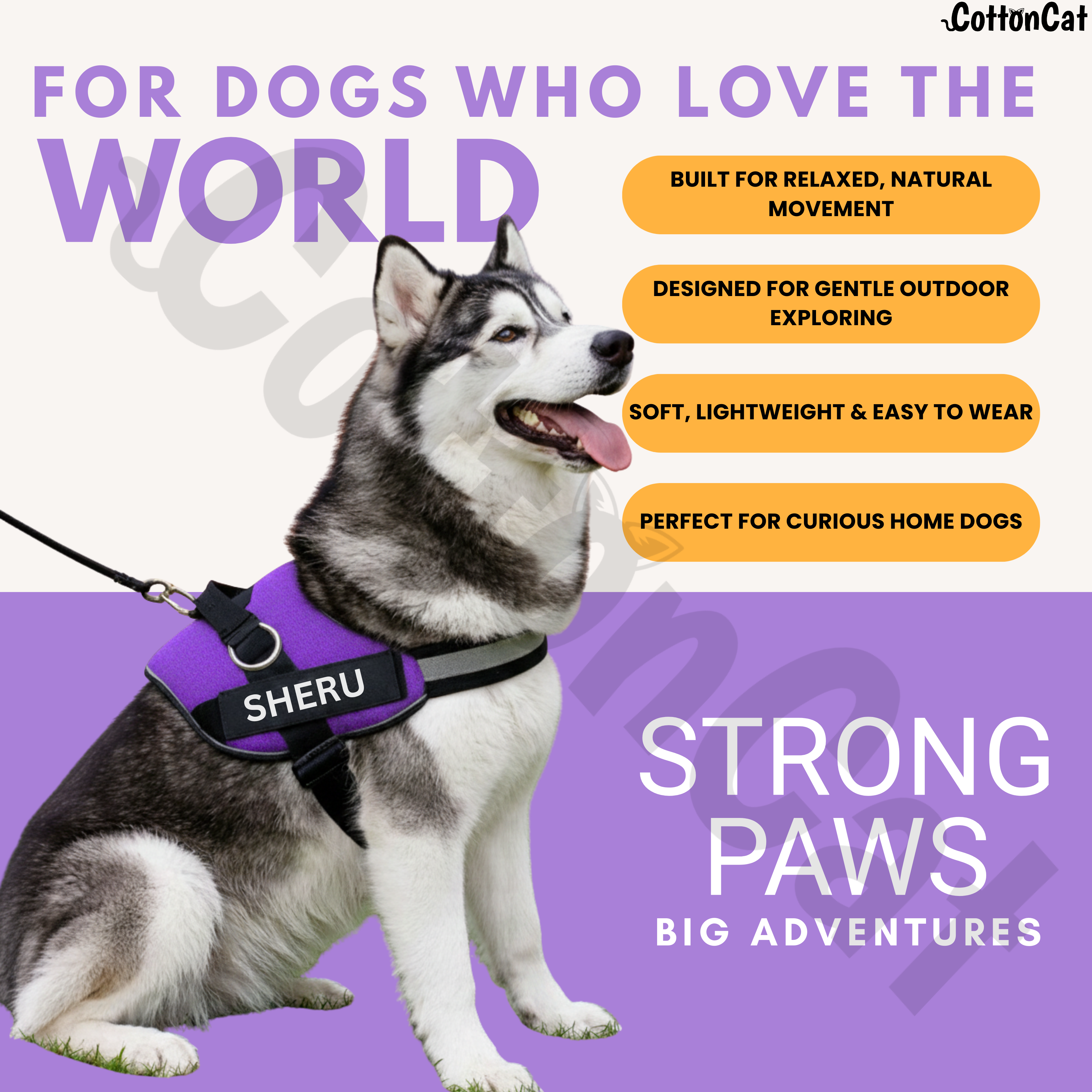 Personalized Dog Harness with Name & Phone Number Purple