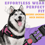 Cat Dog Reflective Harness Hot Pink