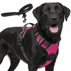 Dog Cat No Pull Harness With Reflective Leash Hot Pink