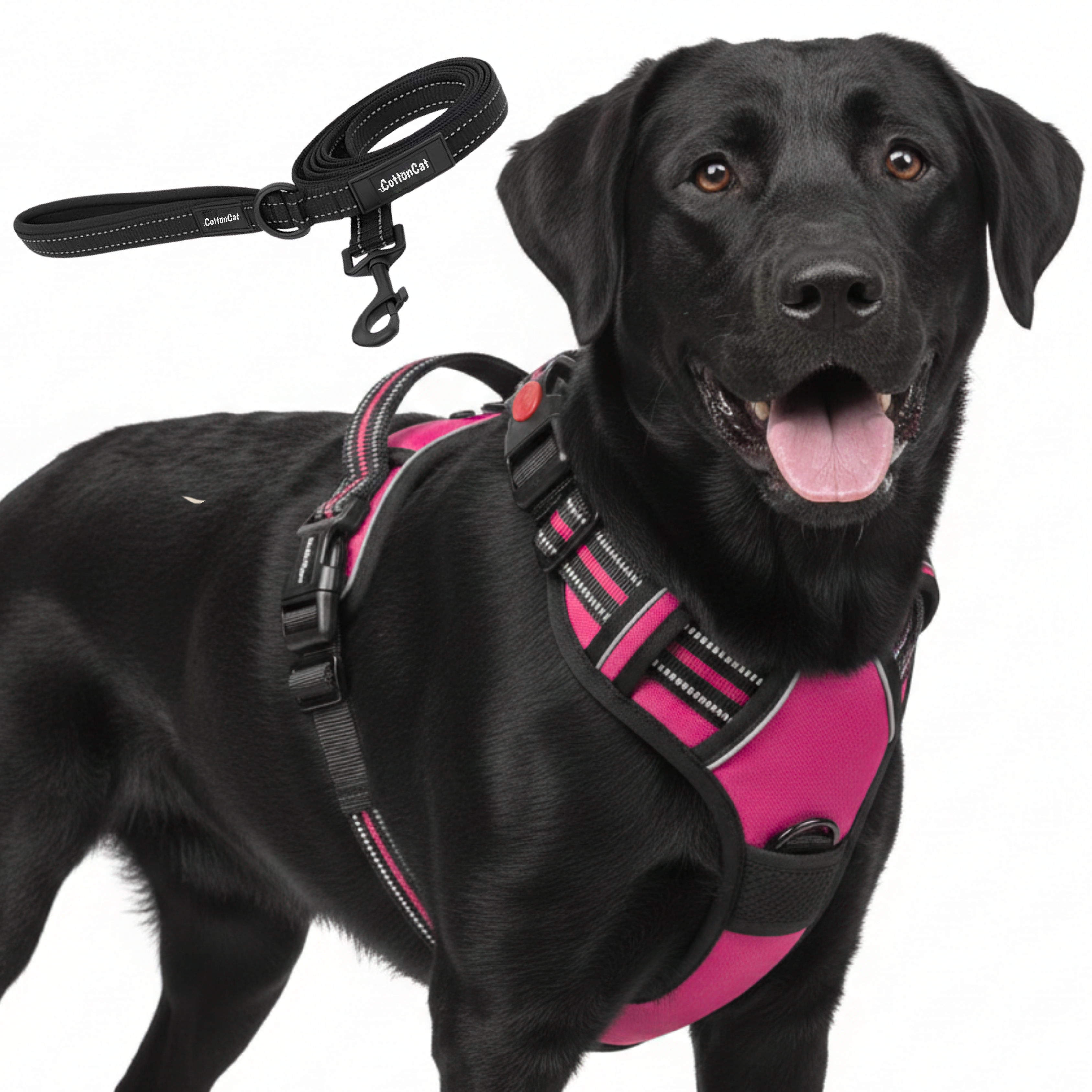 Dog Cat No Pull Harness With Reflective Leash Hot Pink