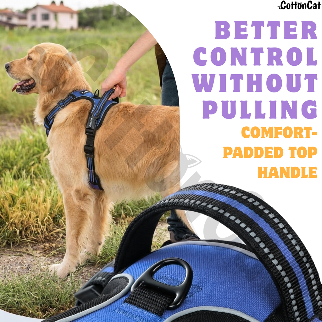 Dog Cat No Pull Harness With Reflective Leash Blue