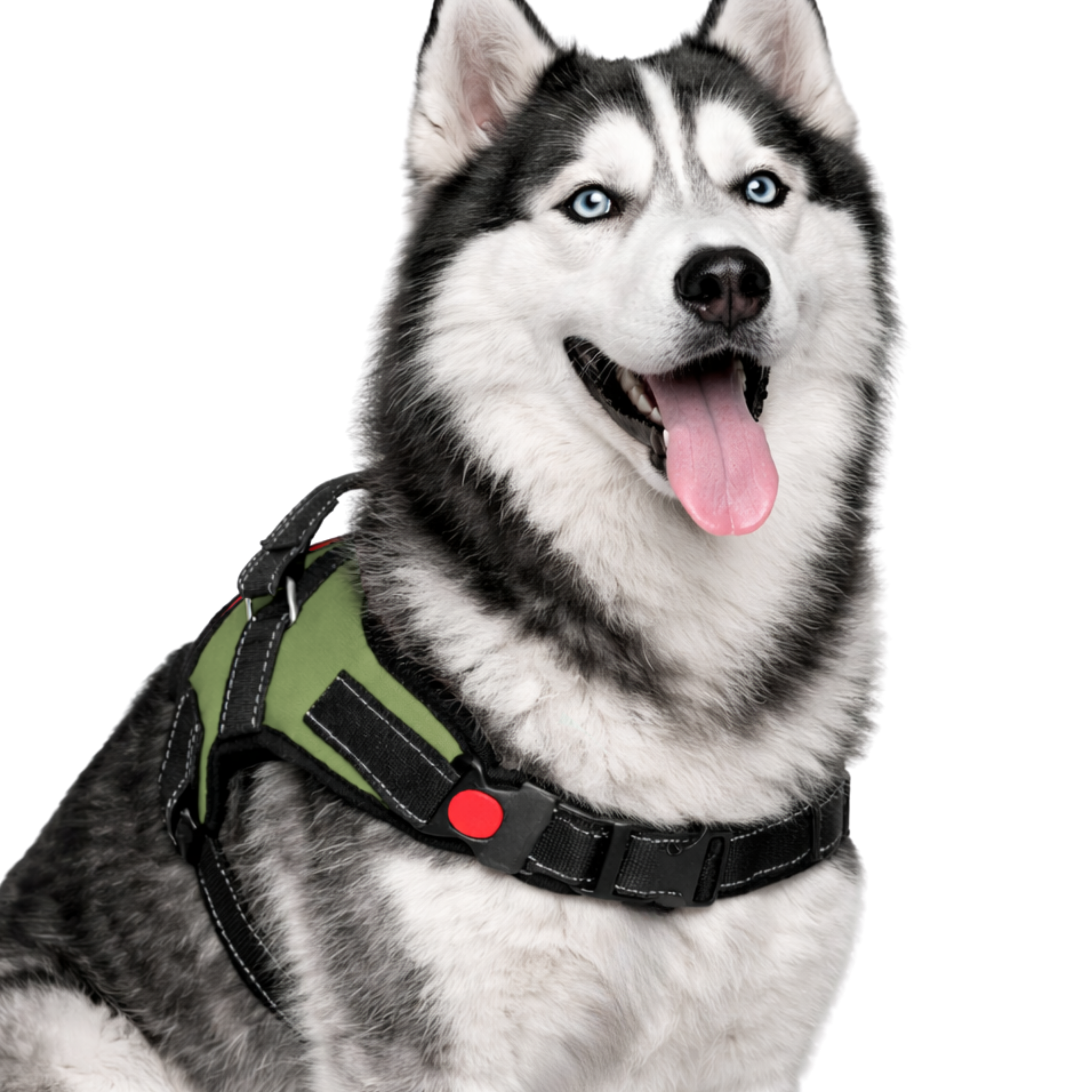 Cat Dog Reflective Harness Green