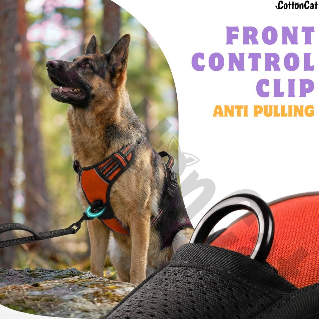 Dog Cat No Pull Harness With Reflective Leash Red
