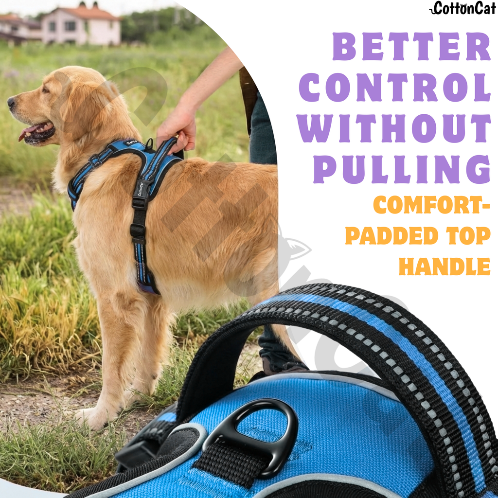 Dog Cat No Pull Harness With Reflective Leash Sky Blue