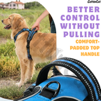 Dog Cat No Pull Harness With Reflective Leash Sky Blue