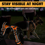 Dog Cat No Pull Harness With Reflective Leash Orange