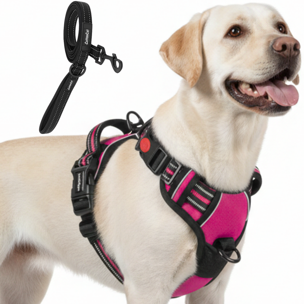 Dog Cat No Pull Harness With Reflective Leash Hot Pink