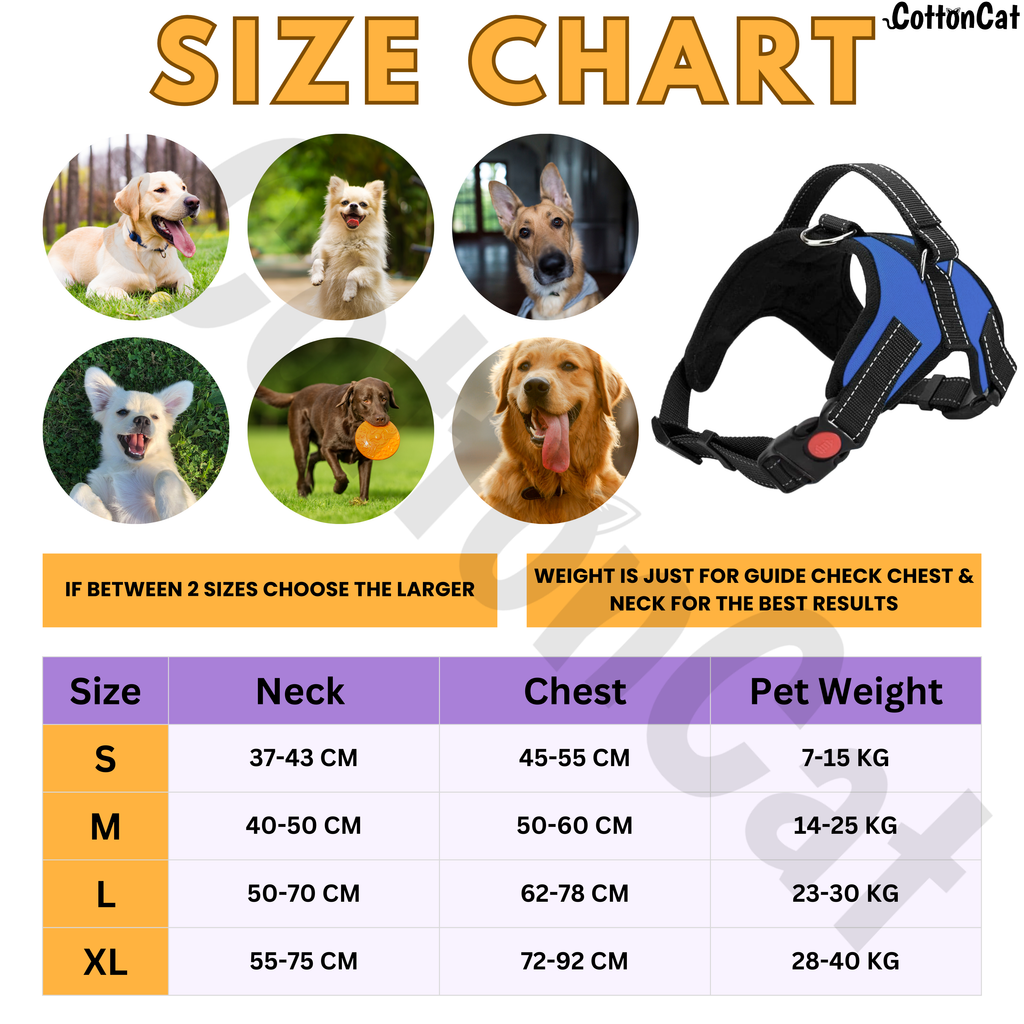 Cat Dog Reflective Harness Blue