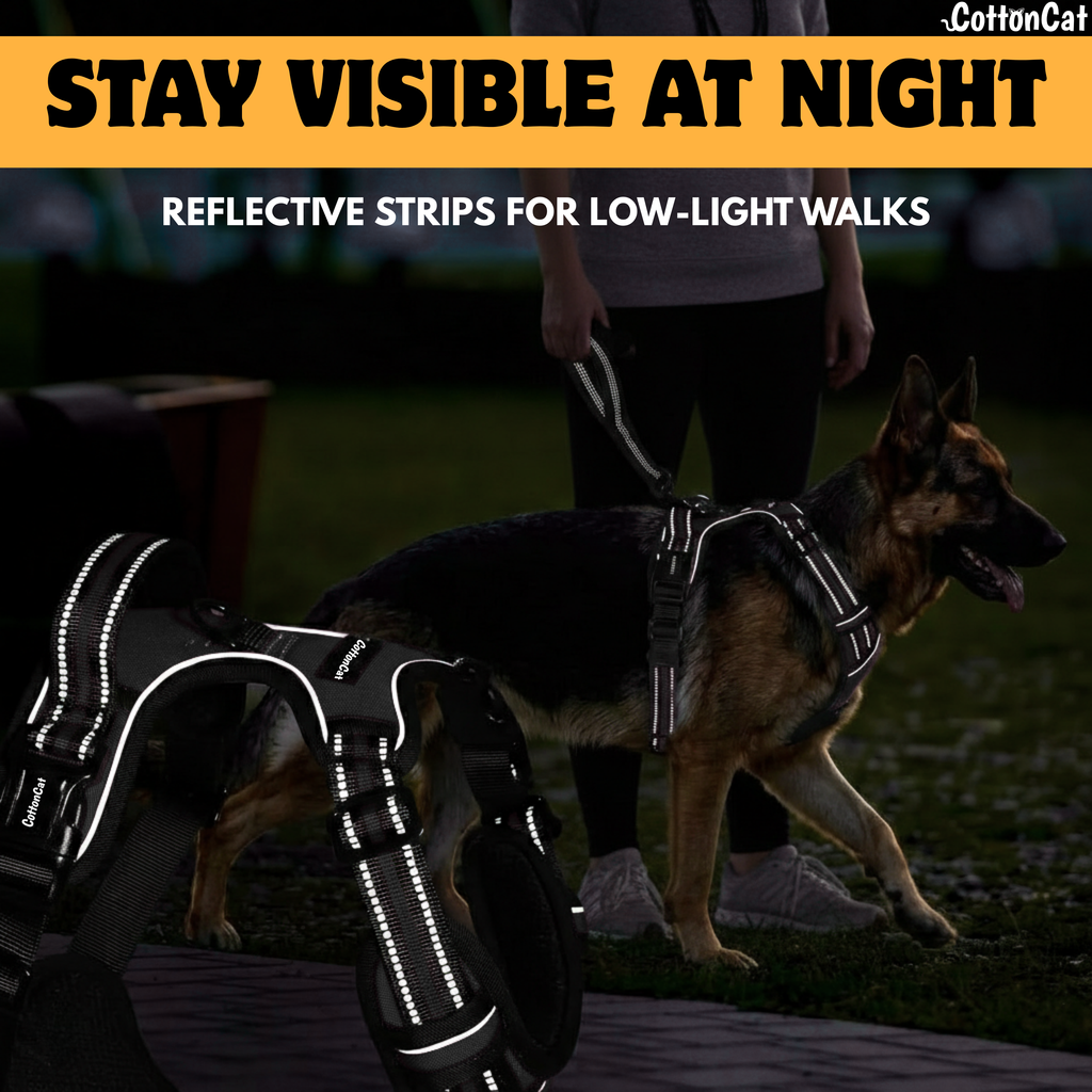 Dog Cat No Pull Harness With Reflective Leash Black
