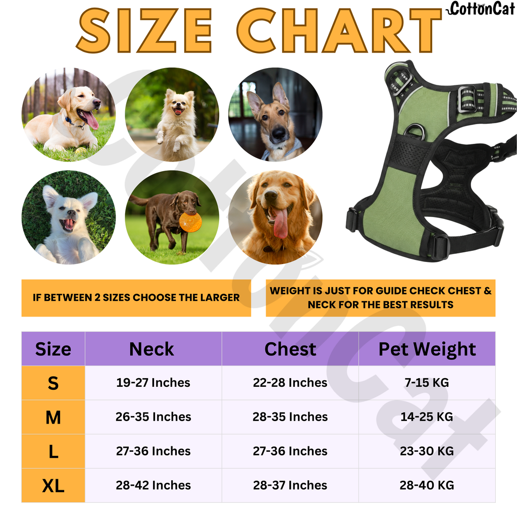 Dog Cat No Pull Harness With Reflective Leash Green