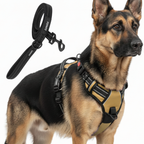 Dog Cat No Pull Harness With Reflective Leash Beige