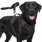 Dog Cat No Pull Harness With Reflective Leash Black