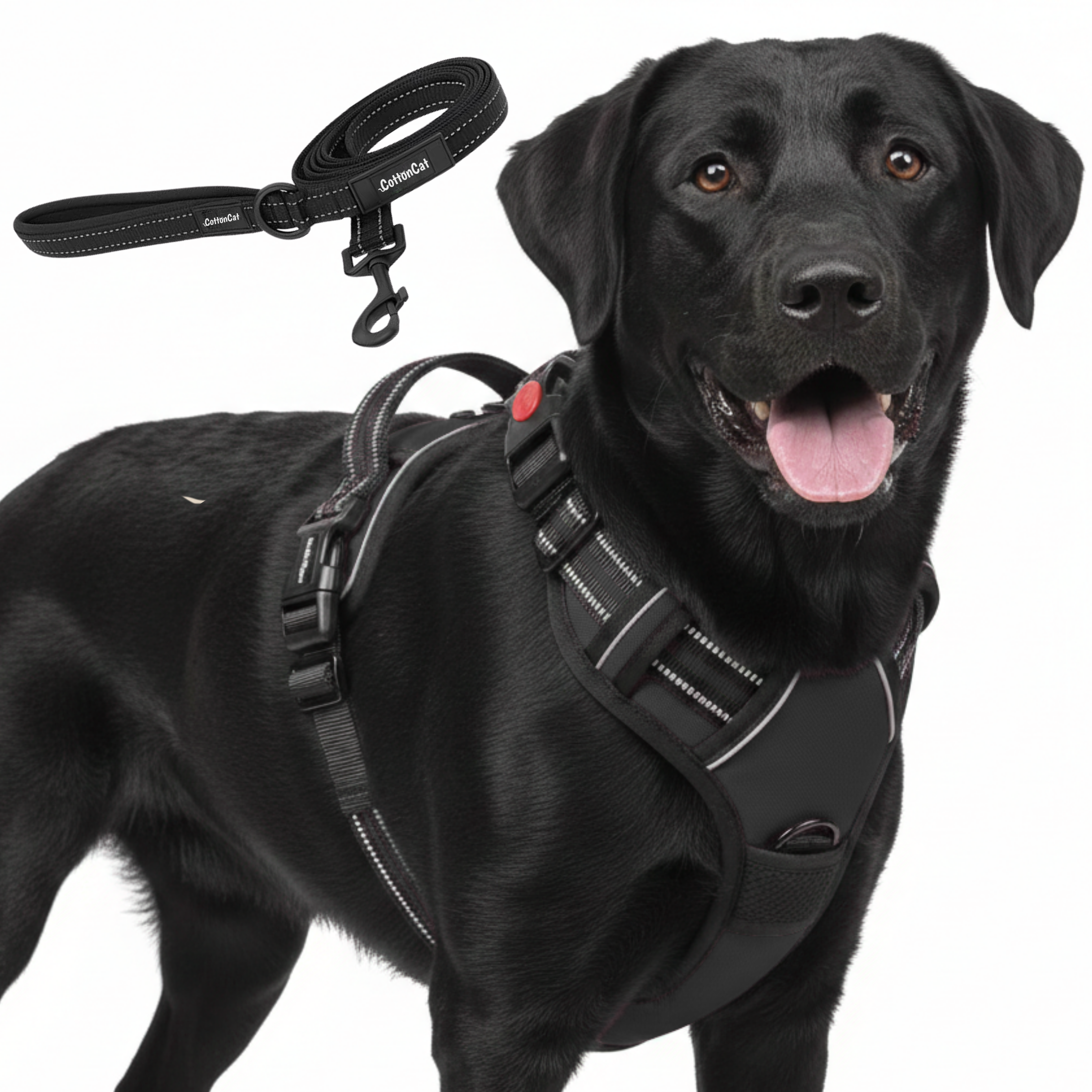 Dog Cat No Pull Harness With Reflective Leash Black
