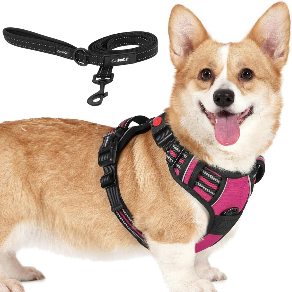 Dog Cat No Pull Harness With Reflective Leash Hot Pink