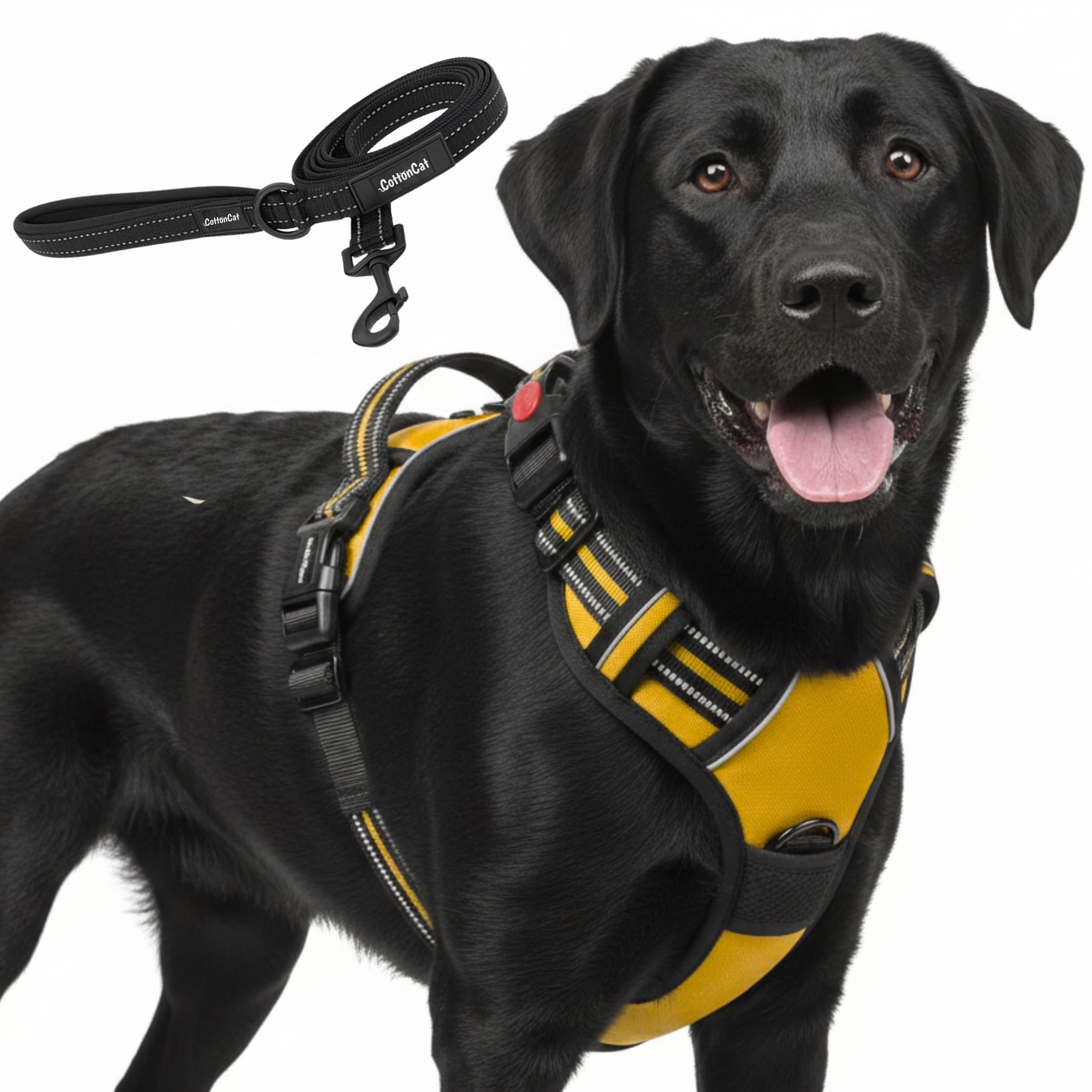 Dog Cat No Pull Harness With Reflective Leash Yellow