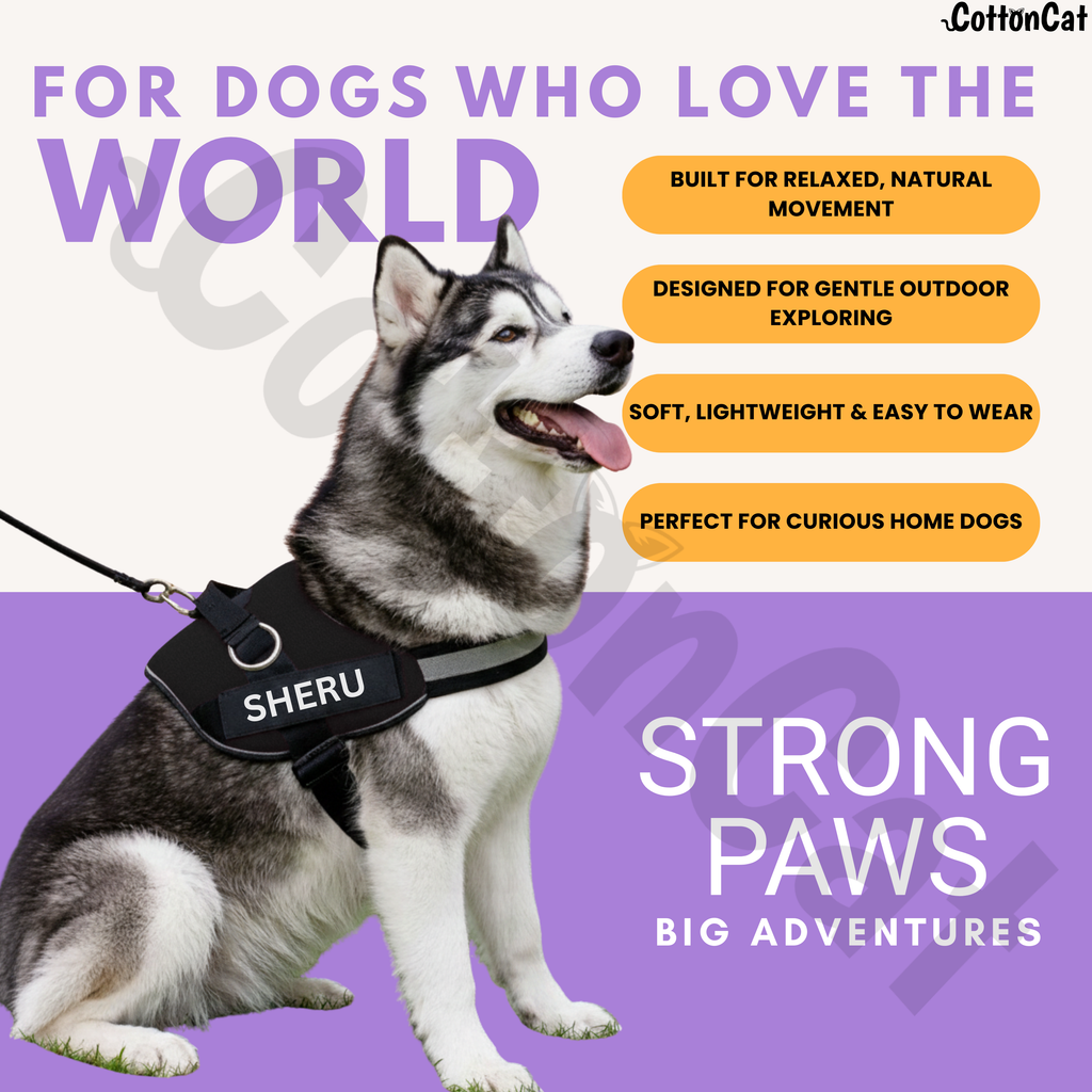 Personalized Dog Harness with Name & Phone Number Black