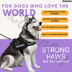 Personalized Dog Harness with Name & Phone Number Black