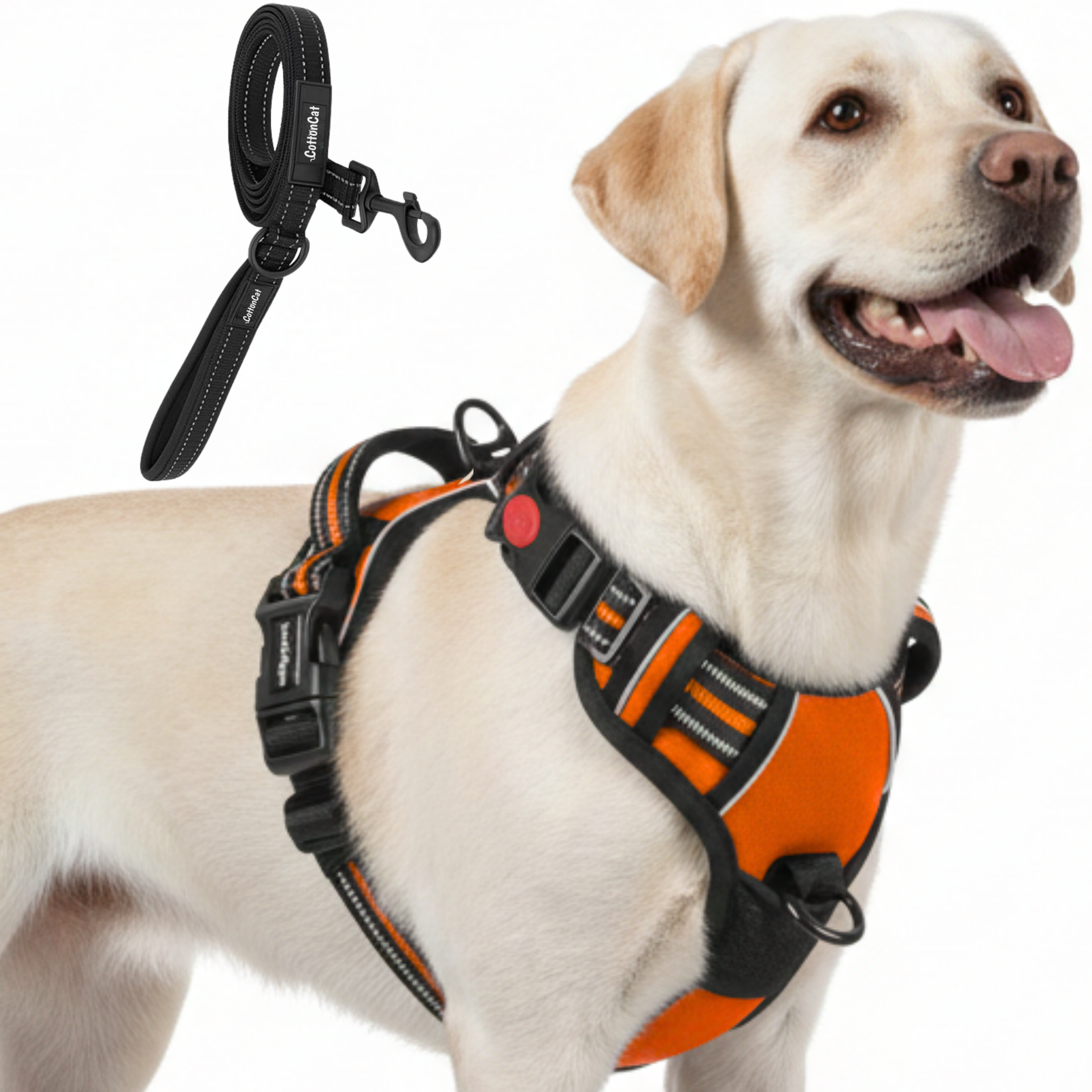 Dog Cat No Pull Harness With Reflective Leash Orange