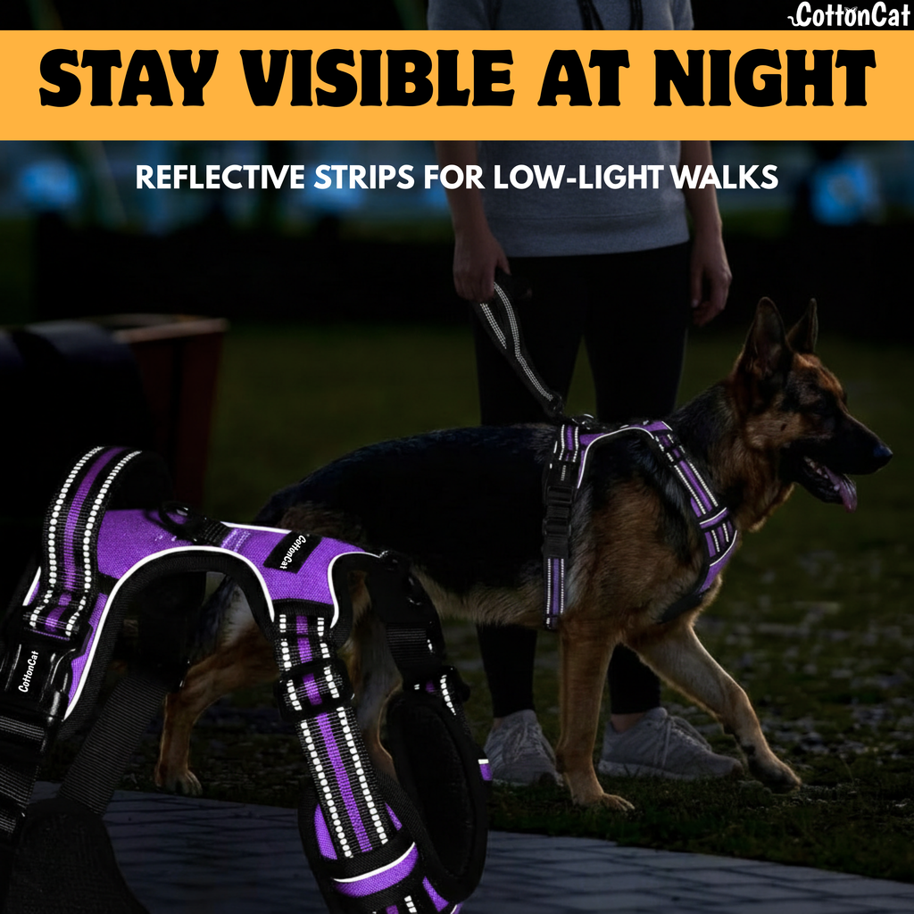 Dog Cat No Pull Harness With Reflective Leash Purple