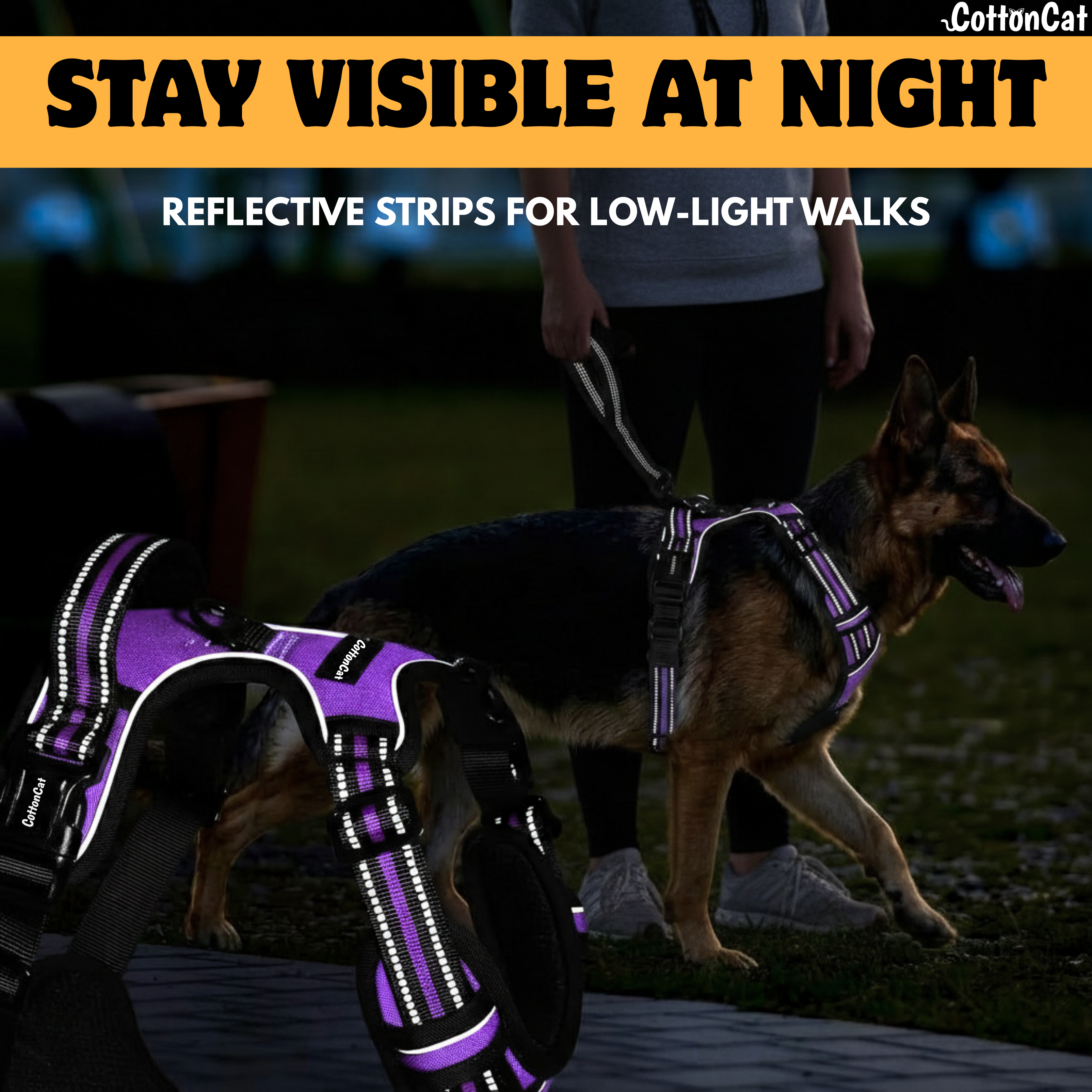 Dog Cat No Pull Harness With Reflective Leash Purple