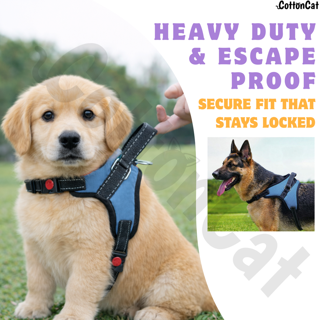 Cat Dog Reflective Harness Sky Blue