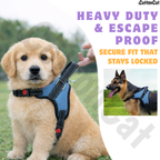 Cat Dog Reflective Harness Sky Blue