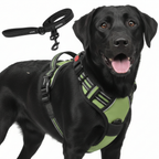 Dog Cat No Pull Harness With Reflective Leash Green