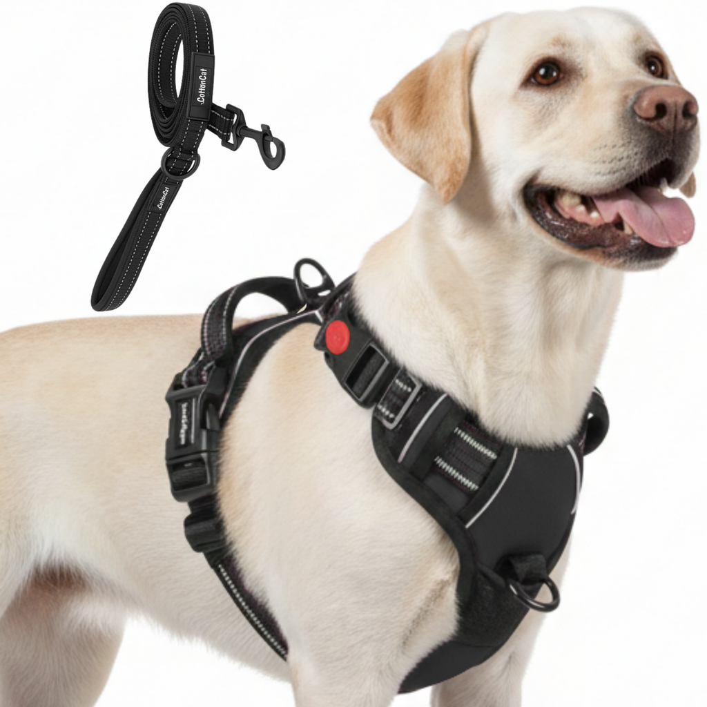 Dog Cat No Pull Harness With Reflective Leash Black