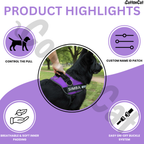 Personalized Dog Harness with Name & Phone Number Purple