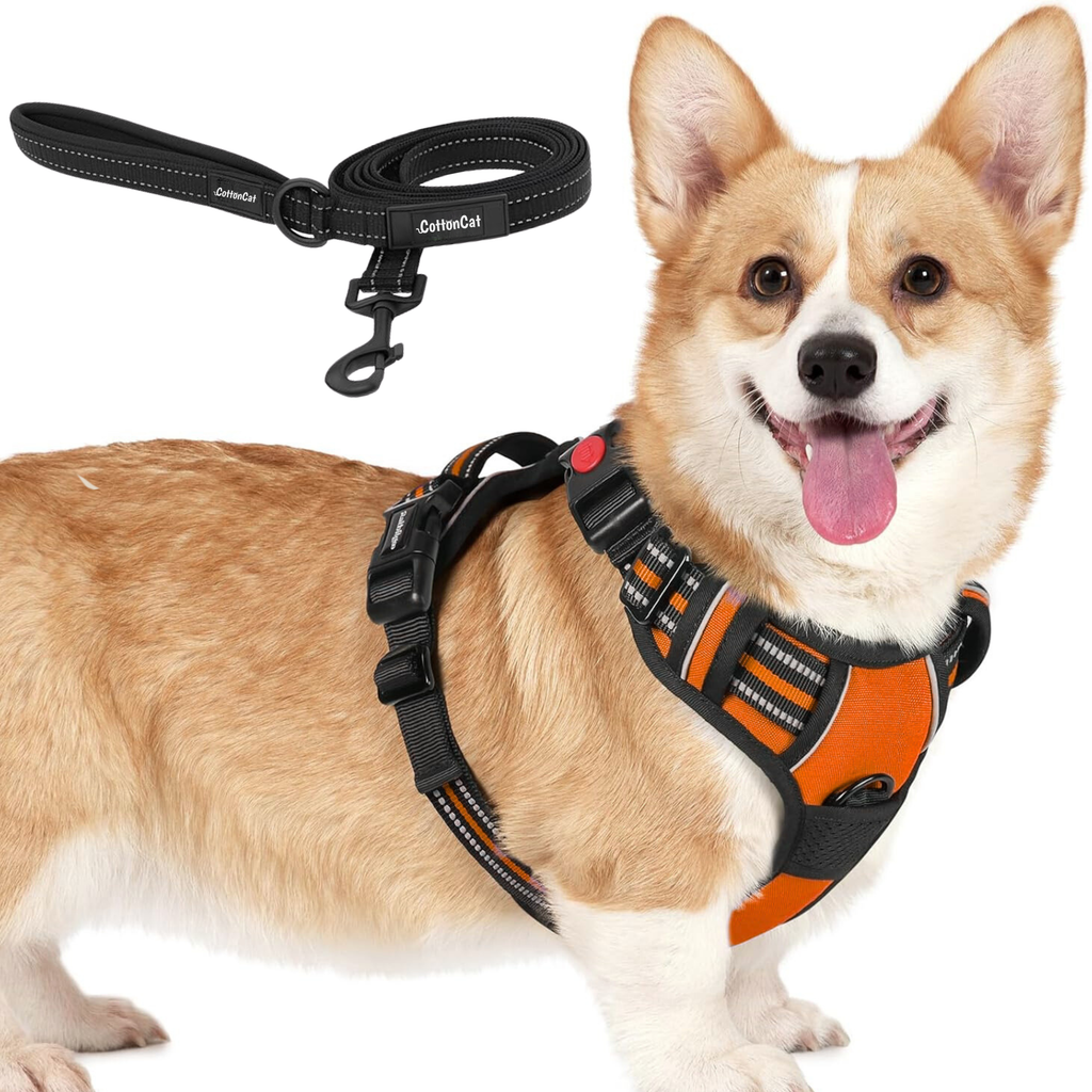 Dog Cat No Pull Harness With Reflective Leash Orange