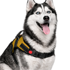 Cat Dog Reflective Harness Yellow