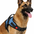 Cat Dog Reflective Harness Sky Blue