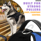 Cat Dog Reflective Harness Blue