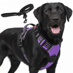 Dog Cat No Pull Harness With Reflective Leash Purple