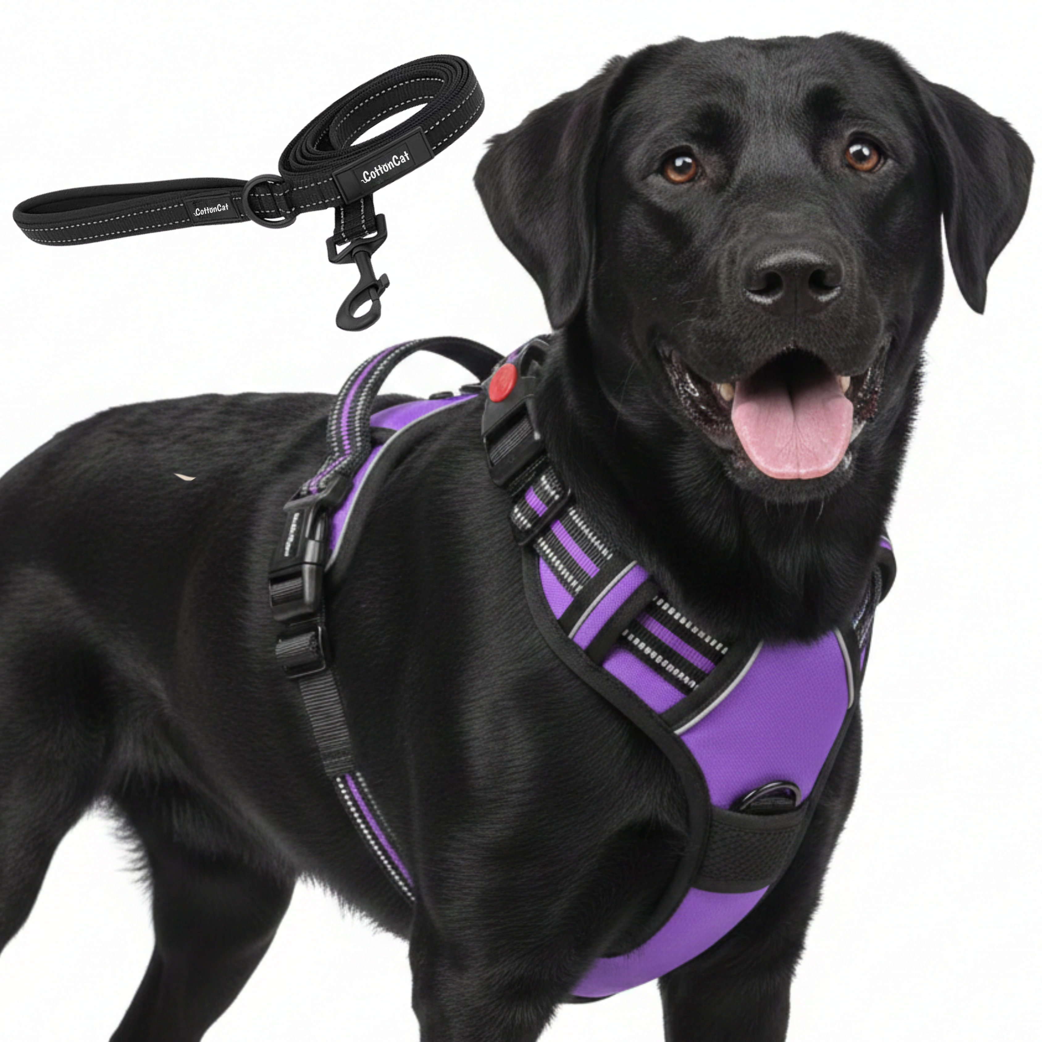 Dog Cat No Pull Harness With Reflective Leash Purple