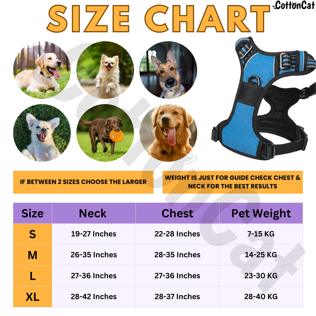 Dog Cat No Pull Harness With Reflective Leash Sky Blue