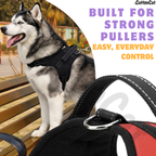 Cat Dog Reflective Harness Red