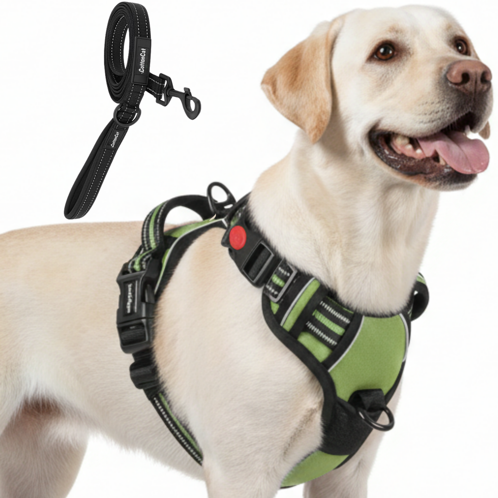Dog Cat No Pull Harness With Reflective Leash Green