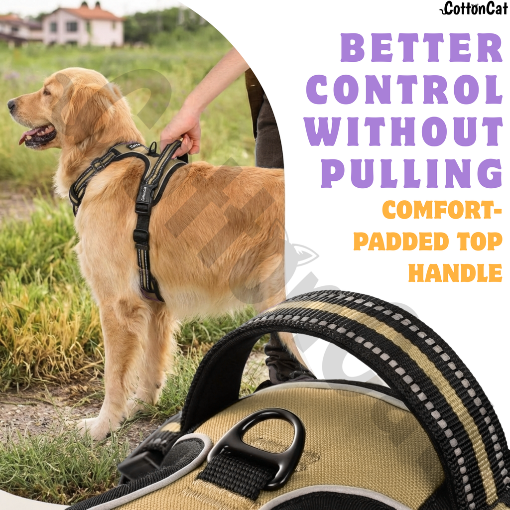 Dog Cat No Pull Harness With Reflective Leash Beige