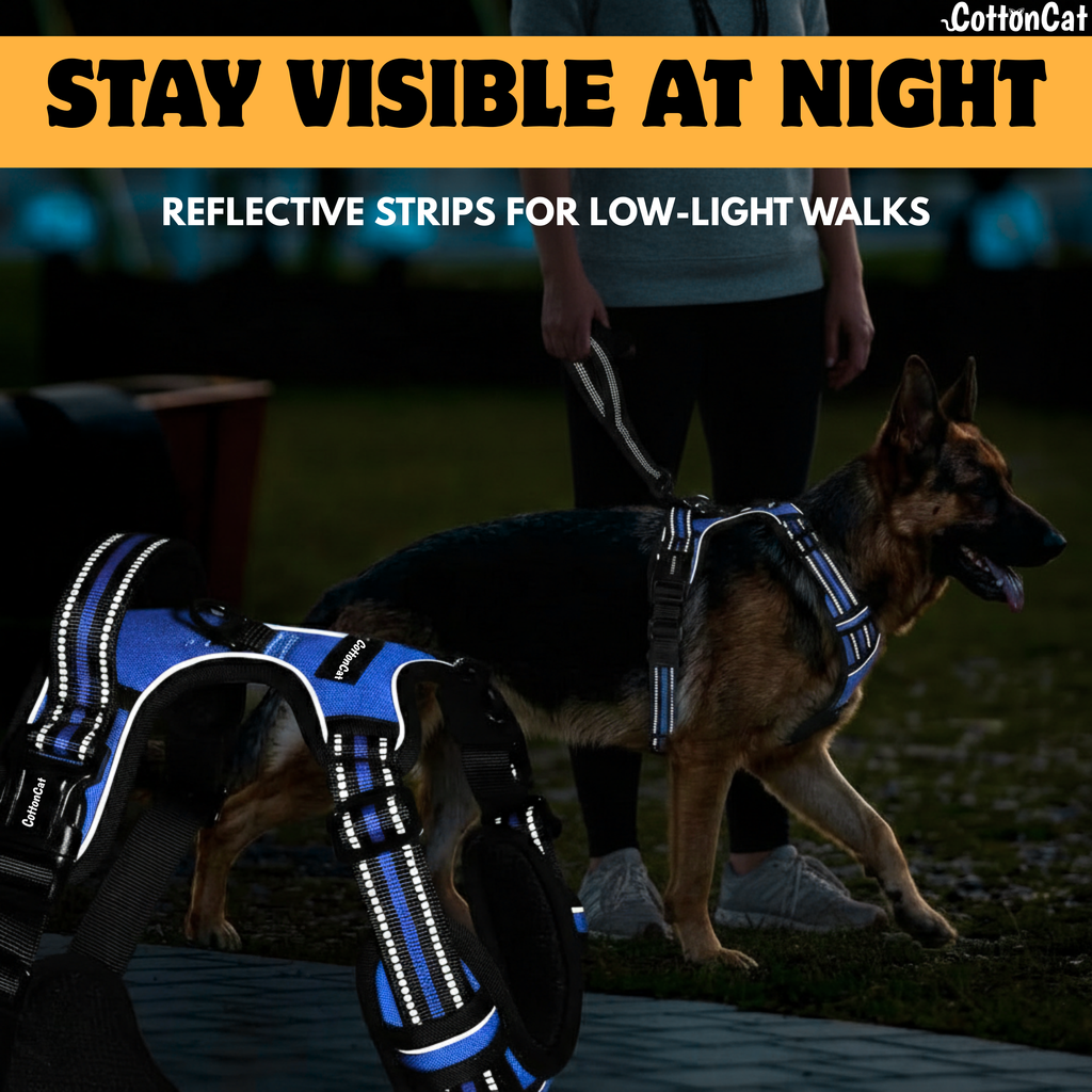Dog Cat No Pull Harness With Reflective Leash Blue