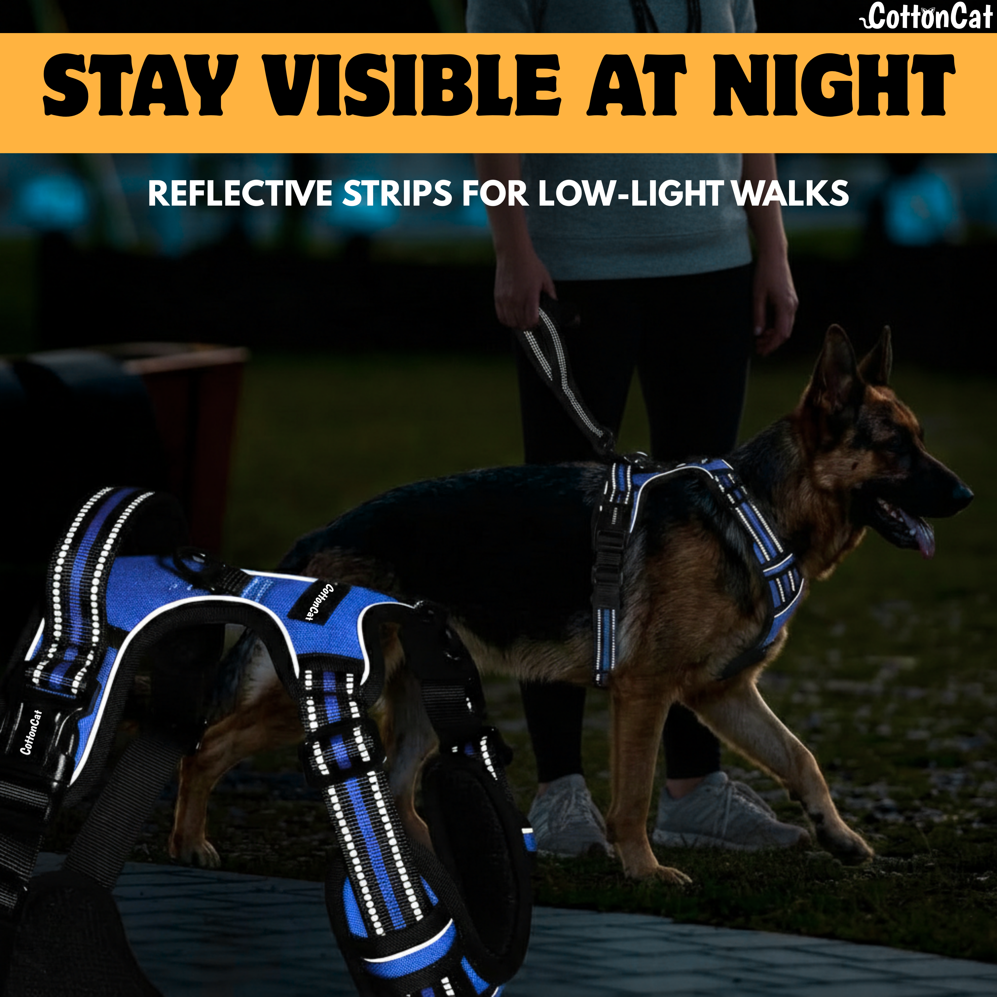Dog Cat No Pull Harness With Reflective Leash Blue