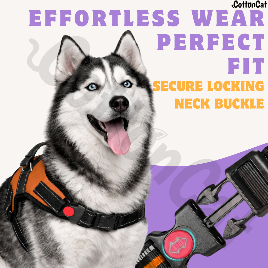 Cat Dog Reflective Harness Orange