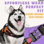 Cat Dog Reflective Harness Orange