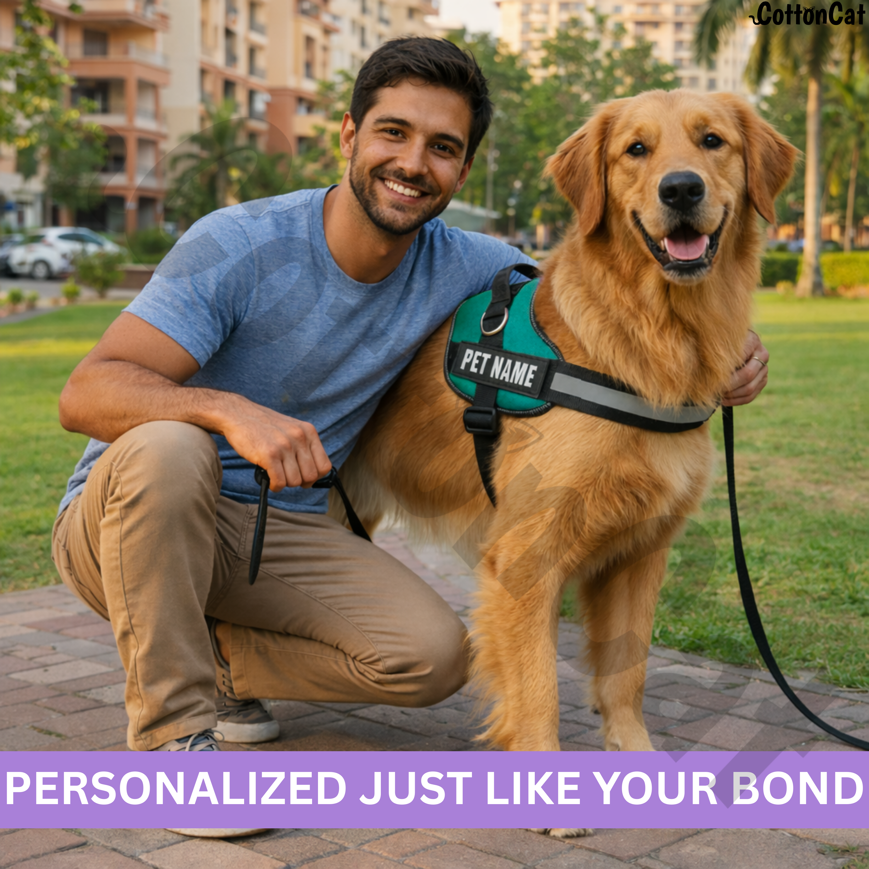 Personalized Dog Harness with Name & Phone Number Teal