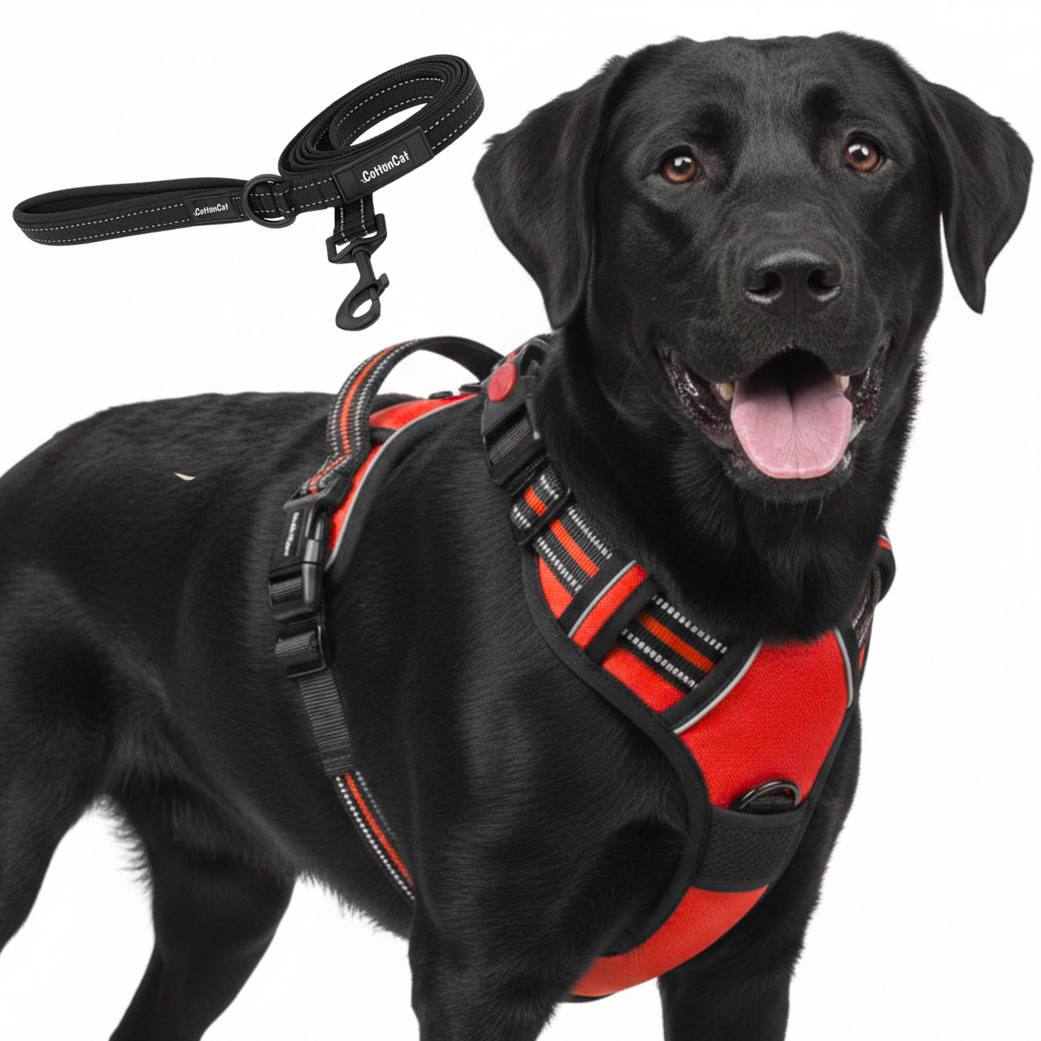 Dog Cat No Pull Harness With Reflective Leash Red